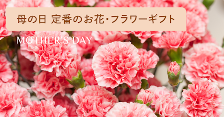 母の日に贈る人気の花・フラワーギフト8選！定番の花の種類や花言葉も解説
